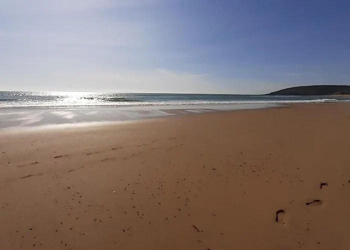 Daire Crabe Cosy T3 Surf Randos